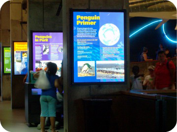 Lumisheets at an aquarium